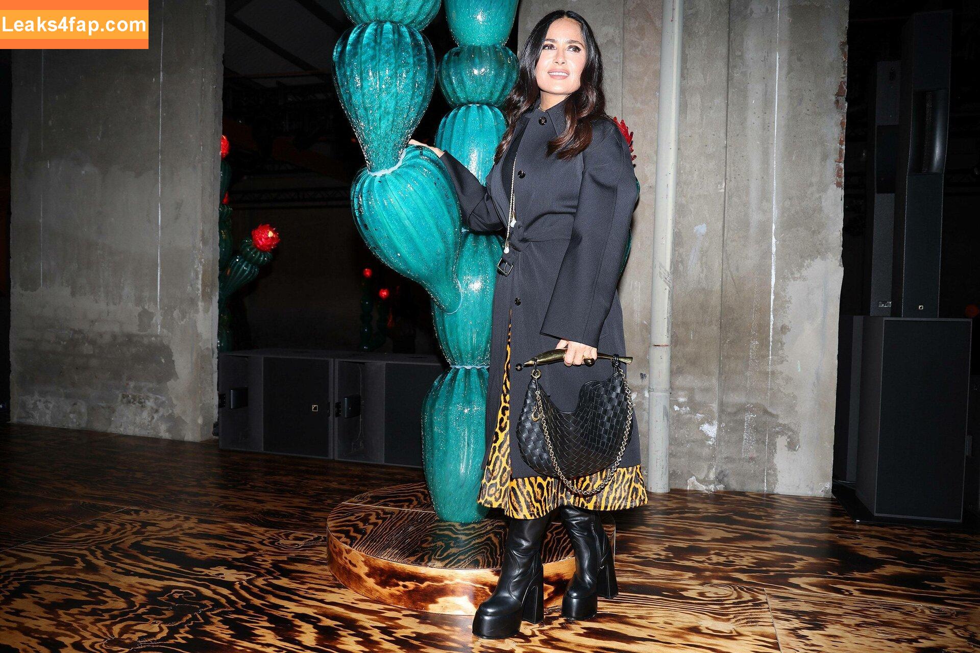 Salma Hayek / salmahayek слитое фото фото #0930