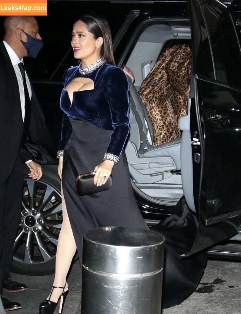 Salma Hayek / salmahayek слитое фото фото #1549