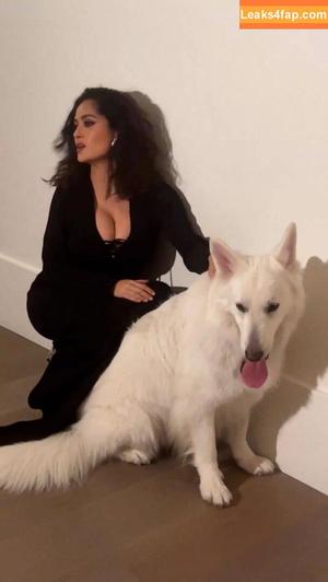 Salma Hayek фото #1516