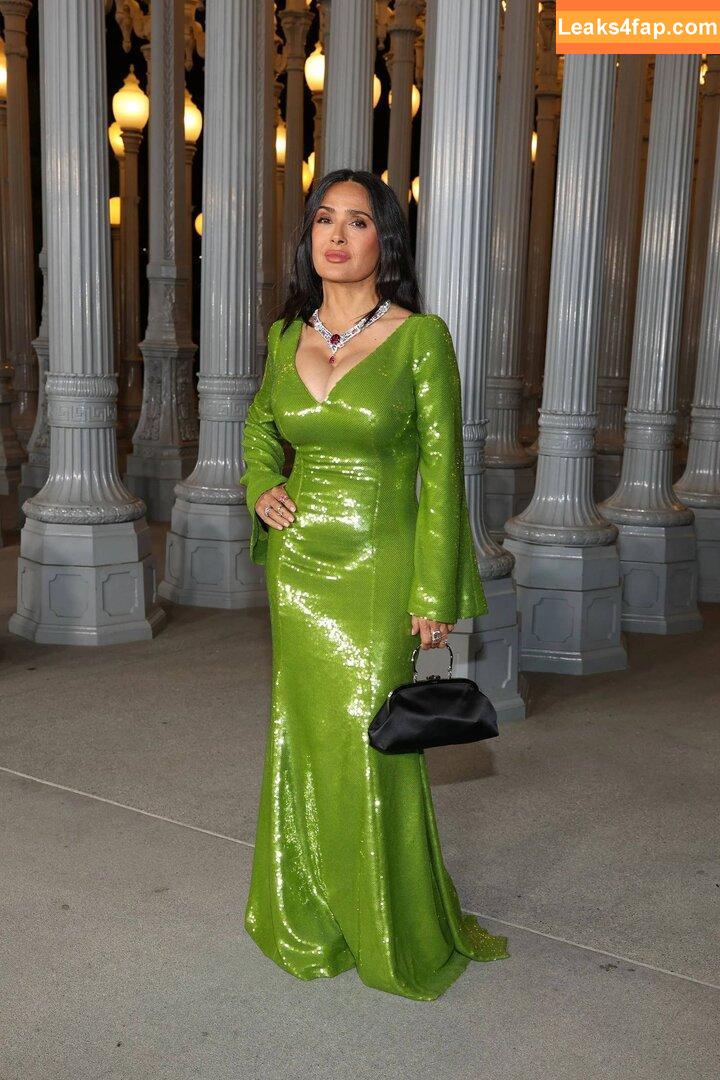 Salma Hayek / salmahayek leaked photo photo #3320
