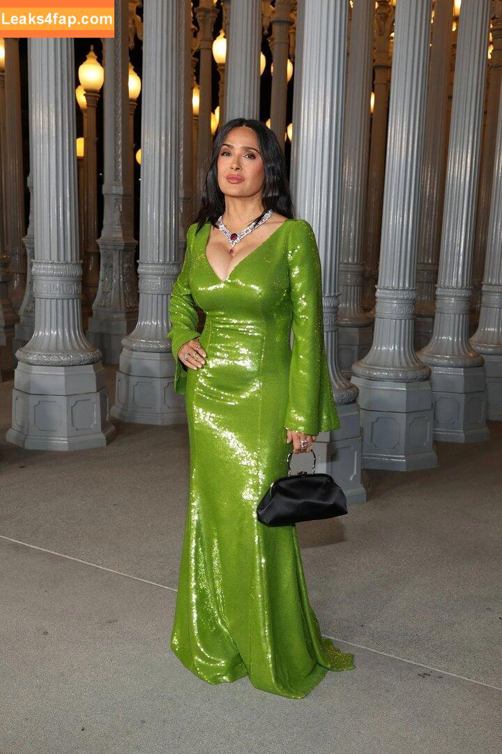 Salma Hayek / salmahayek leaked photo photo #3323