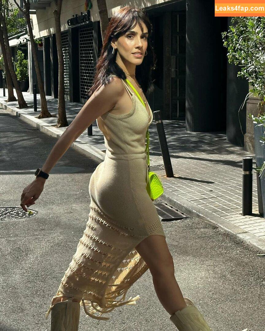 Sandra Echeverria / sandraecheverriaoficial leaked photo photo #0018