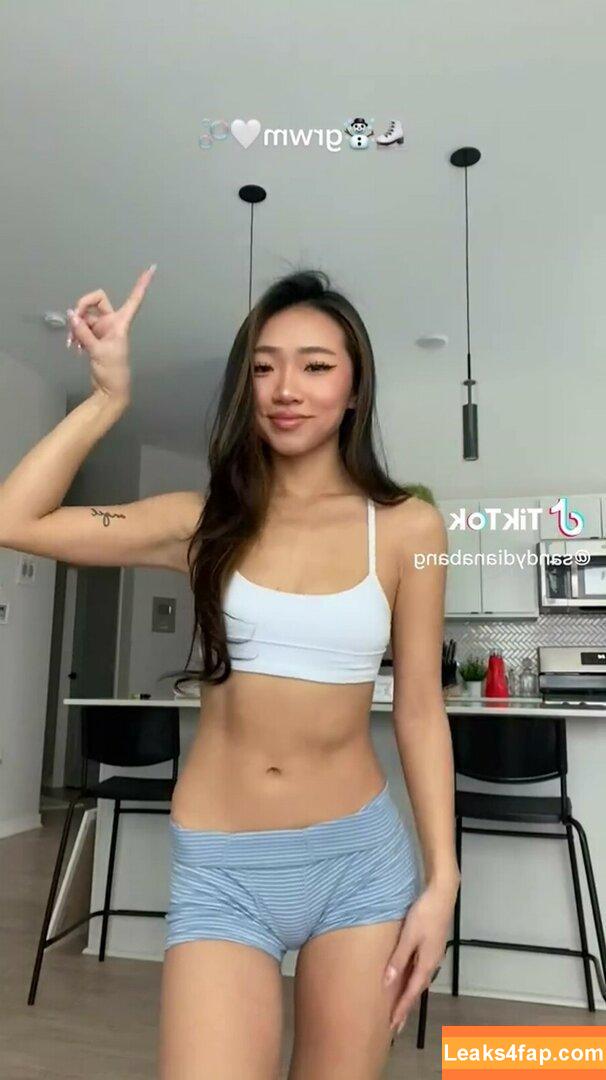 sandydianabang / sandyjoanns leaked photo photo #0091