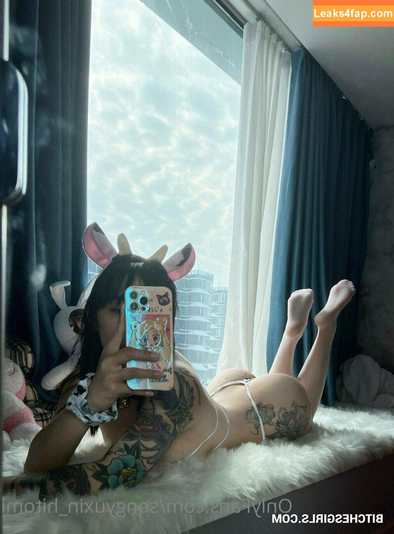 Sangyuxin Hitomi / songyuxin_hitomi leaked photo photo #0019