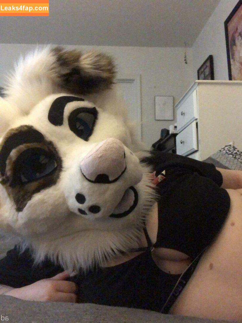 saoirsemutt / therealpineapplefox leaked photo photo #0048