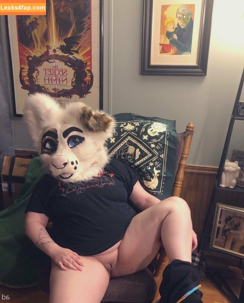 saoirsemutt / therealpineapplefox leaked photo photo #0068