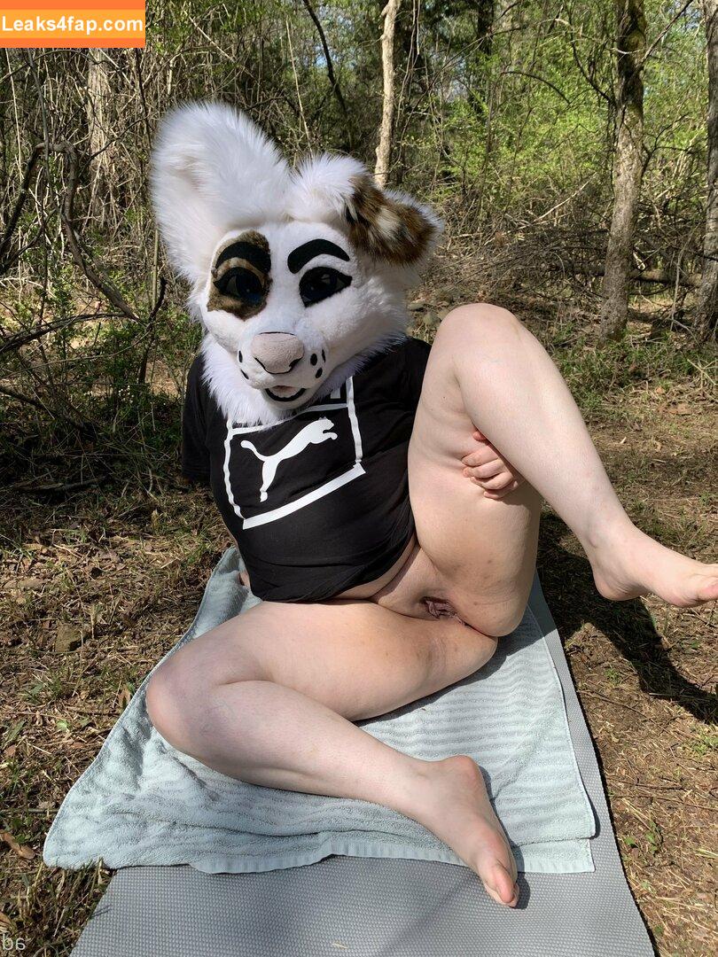 saoirsemutt / therealpineapplefox leaked photo photo #0076