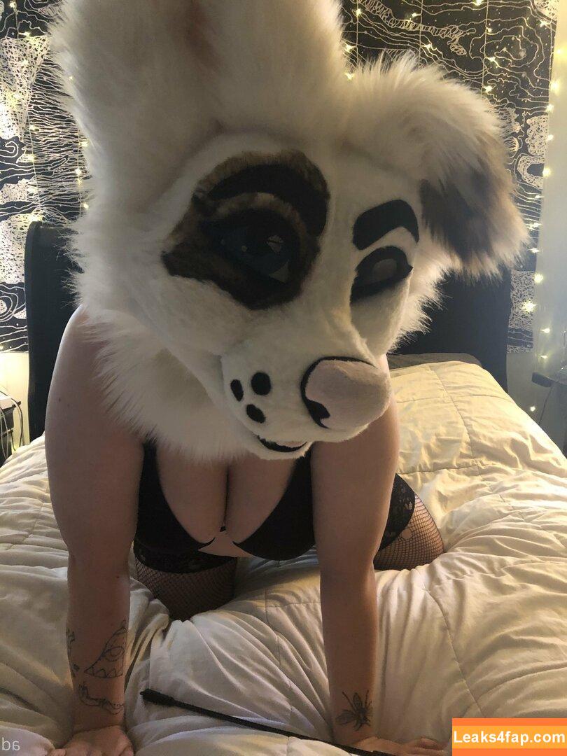 saoirsemutt / therealpineapplefox leaked photo photo #0114