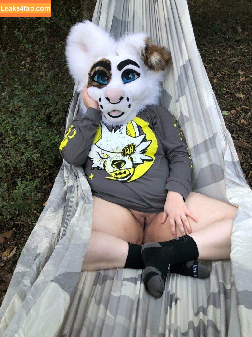 saoirsemutt / therealpineapplefox leaked photo photo #0129