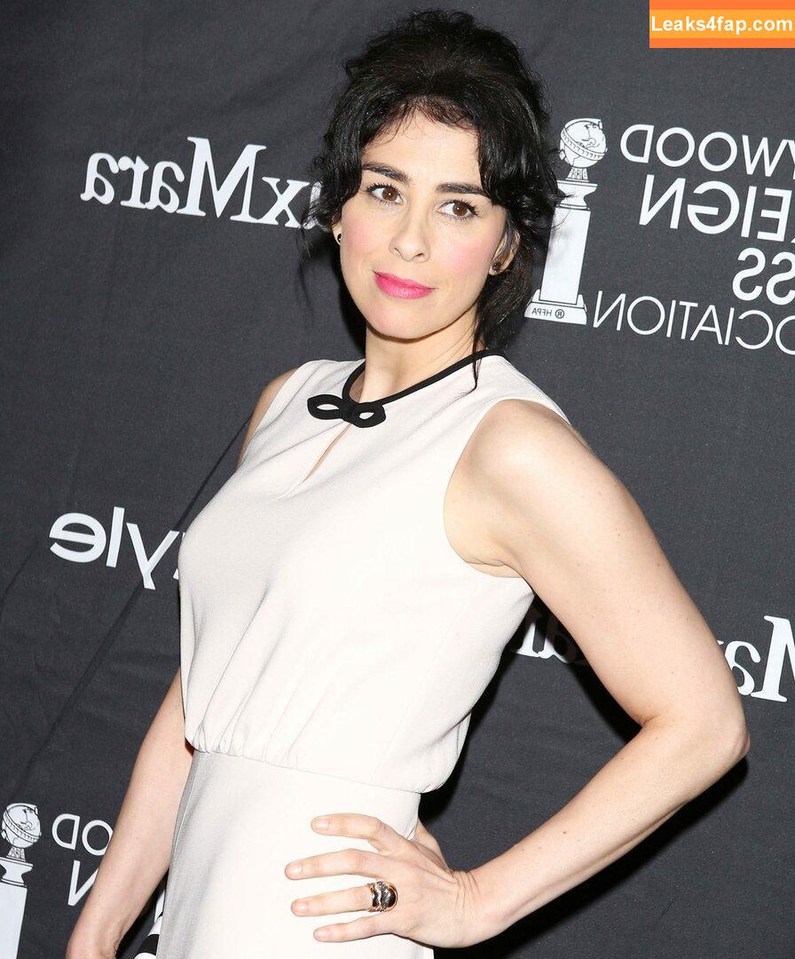 Sarah Silverman / dailyxdesiresx / sarah.silverman14 leaked photo photo #0048