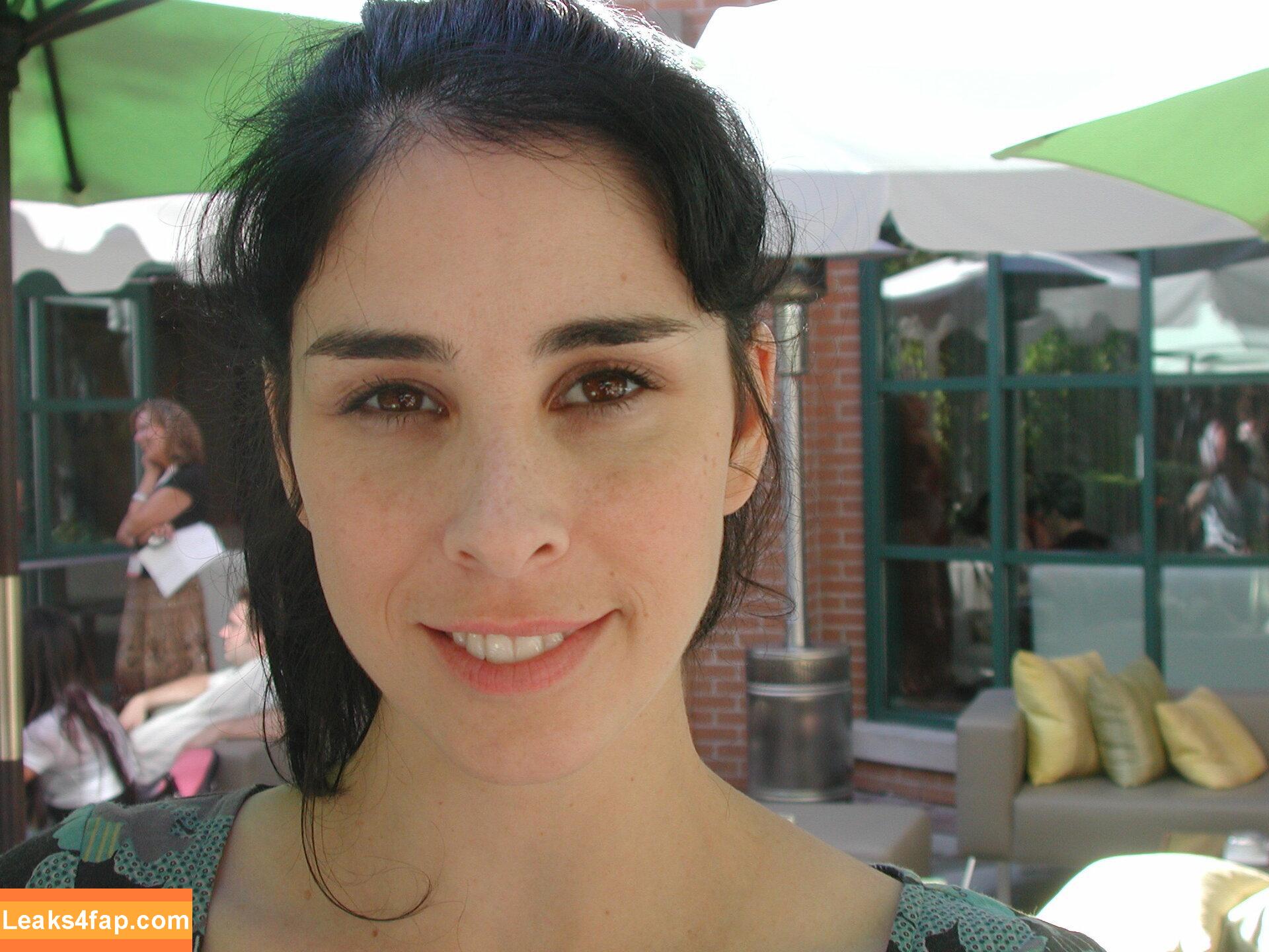 Sarah Silverman / dailyxdesiresx / sarah.silverman14 leaked photo photo #0058