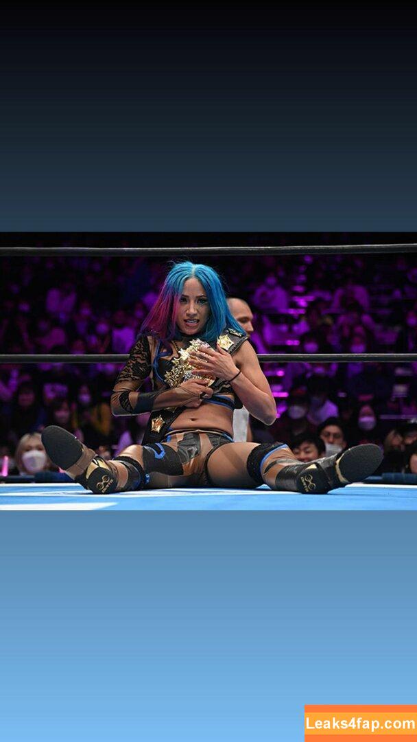 Sasha Banks / sashabankswwe / soxysasha leaked photo photo #0351