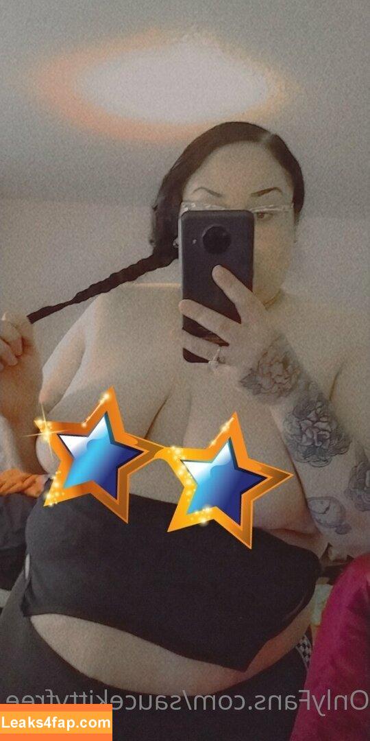 saucekittyfree /  leaked photo photo #0005