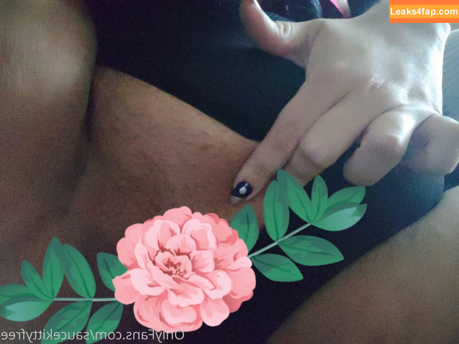 saucekittyfree /  leaked photo photo #0006