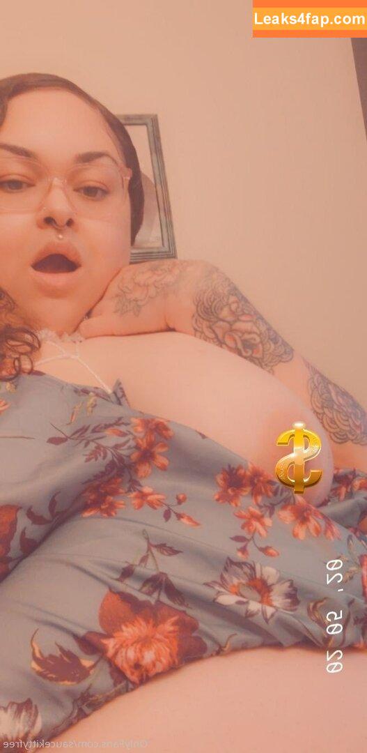 saucekittyfree /  leaked photo photo #0007