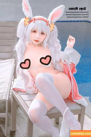 Sayo Momo photo #0024