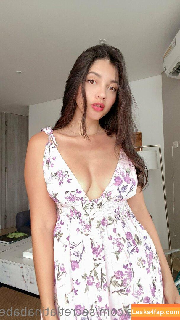 secretlatinababe / secret_pineapple_babe / secretshylatina leaked photo photo #0100