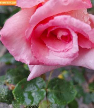 sensualenglishrose photo #0014