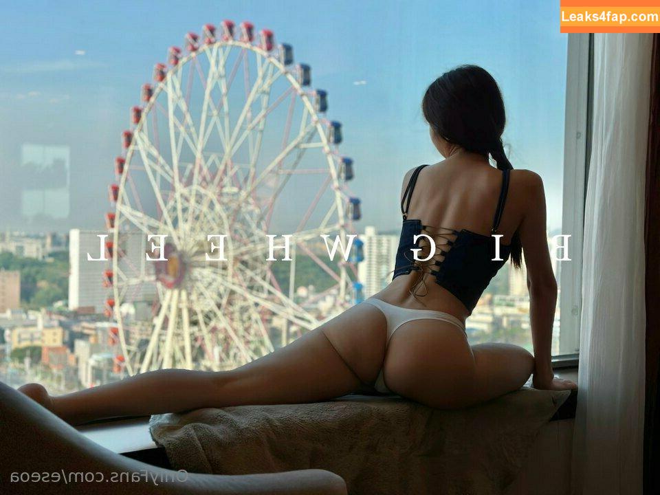 Seoa / KBJ - dodo / e_seoa слитое фото фото #0107