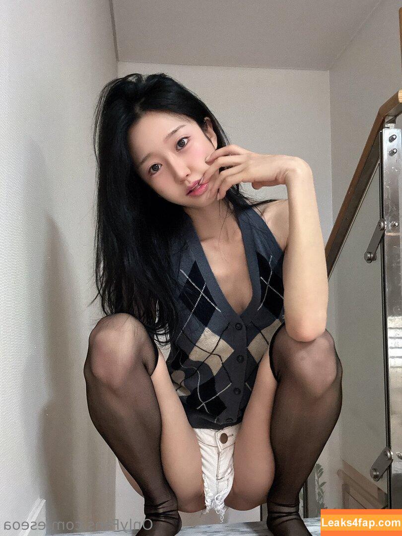 Seoa / KBJ - dodo / e_seoa слитое фото фото #1160