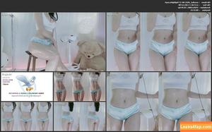 seosils2 photo #0017