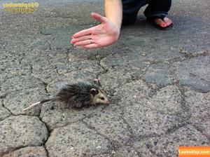 September Carrino фото #0732