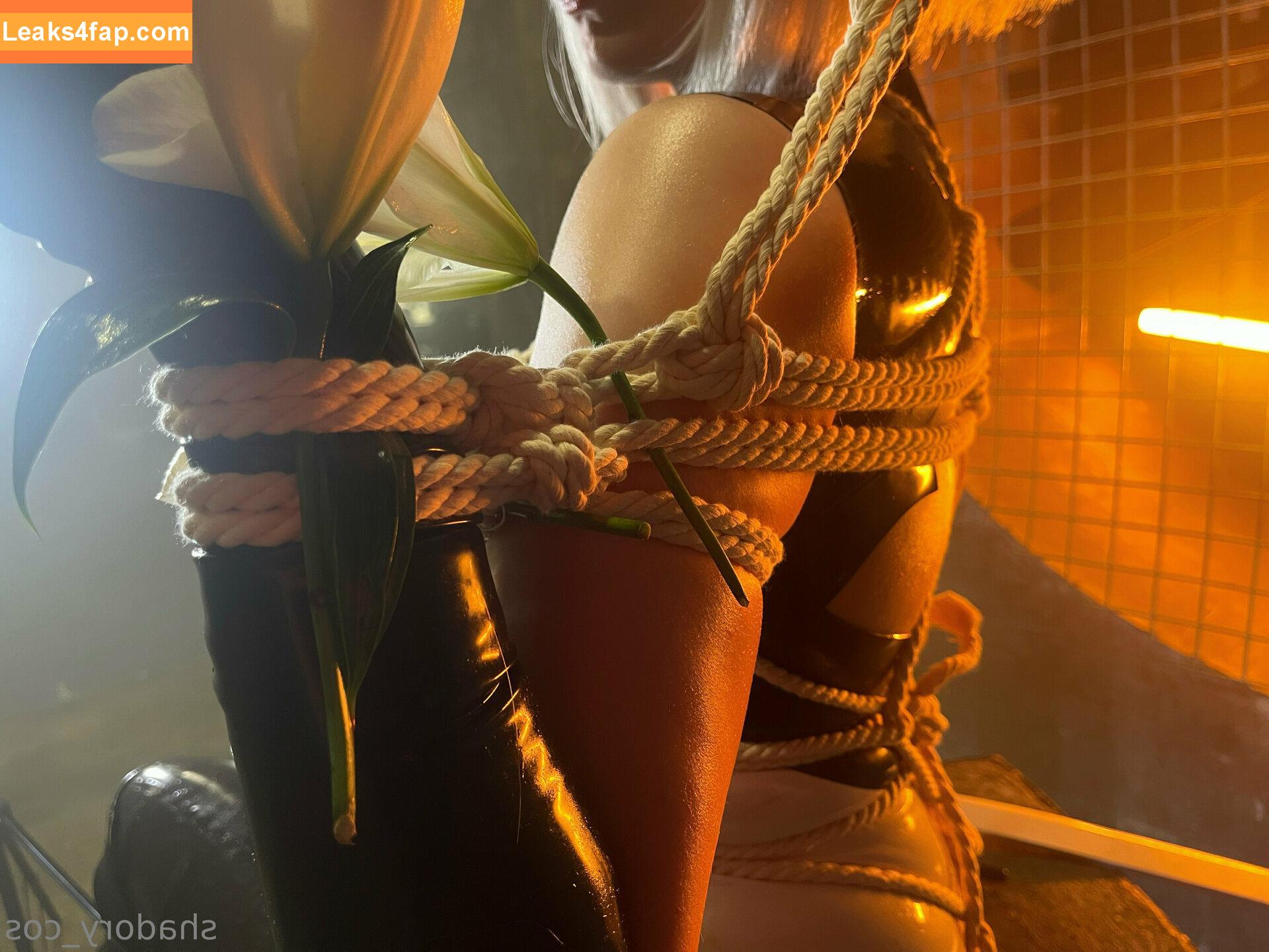 Shadory / Alice / shadory_cos leaked photo photo #1317