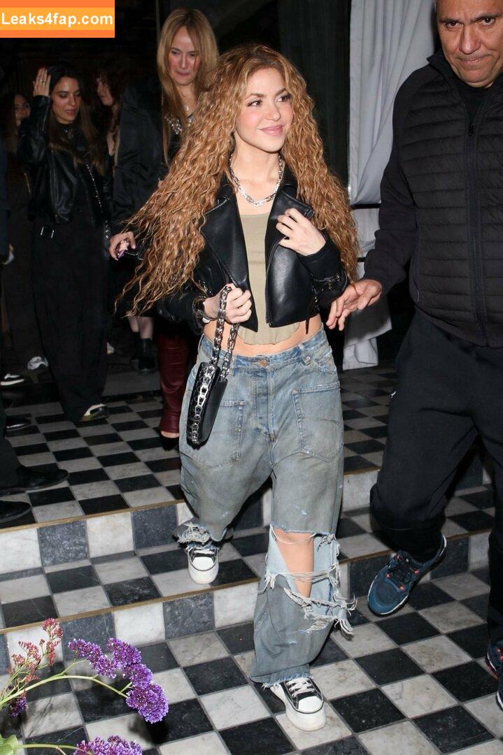 Shakira / shakkira leaked photo photo #0805