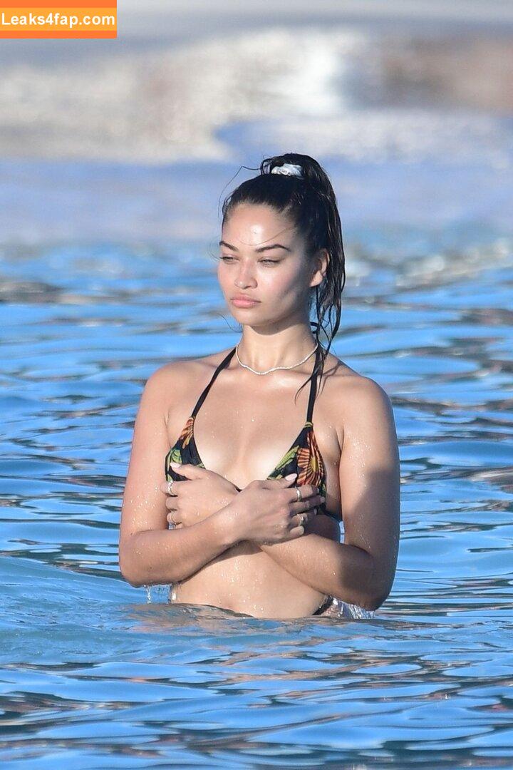 Shanina Shaik / shaninamshaik слитое фото фото #0119