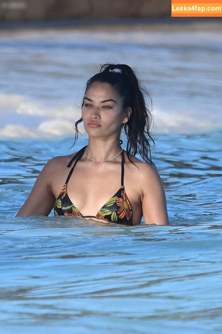 Shanina Shaik / shaninamshaik leaked photo photo #0122