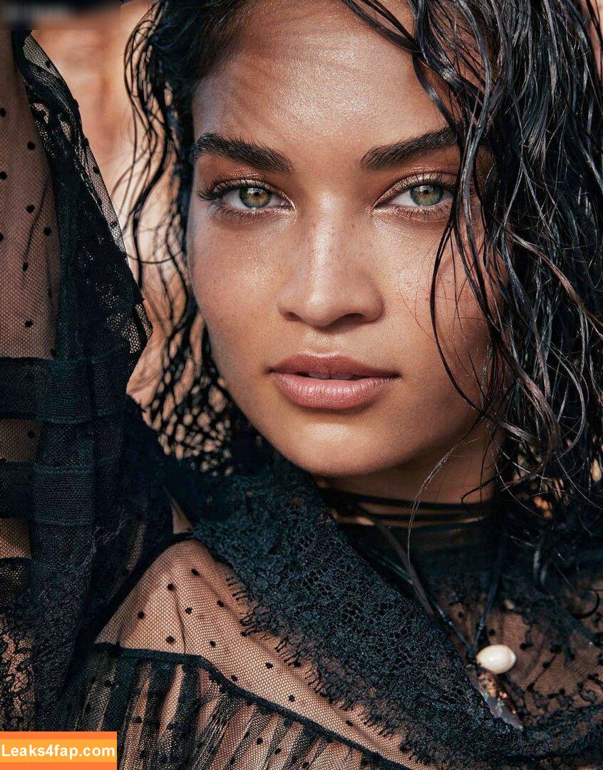 Shanina Shaik / shaninamshaik слитое фото фото #0185