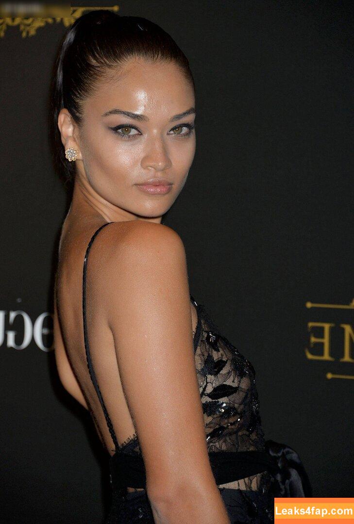 Shanina Shaik / shaninamshaik слитое фото фото #0283