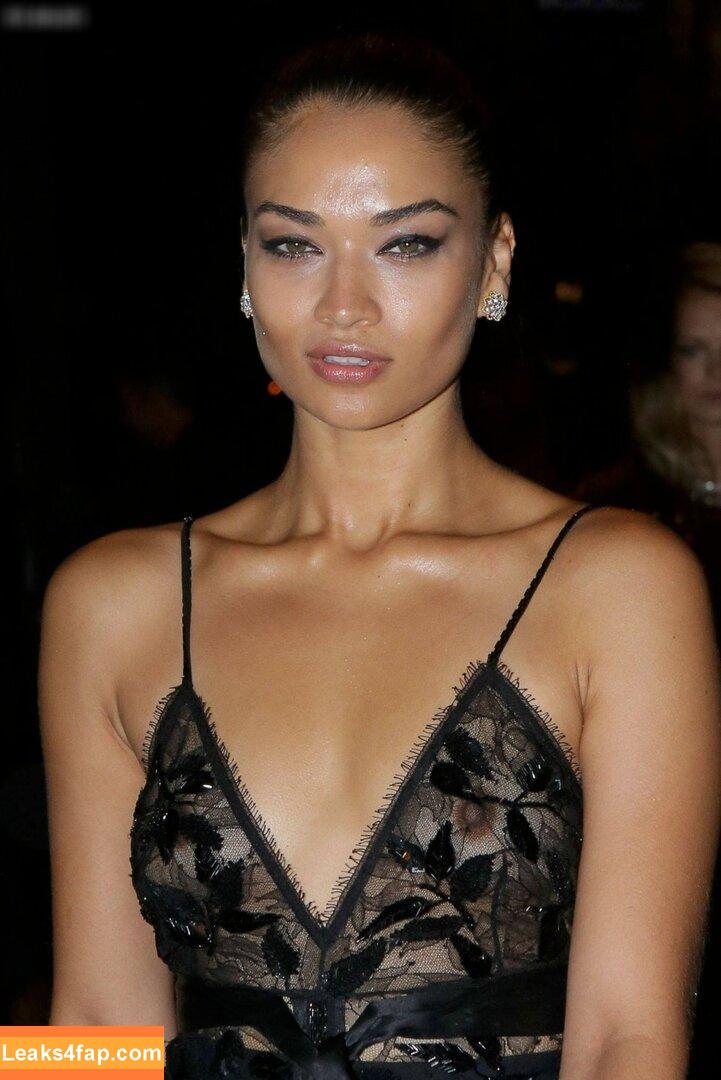 Shanina Shaik / shaninamshaik leaked photo photo #0286