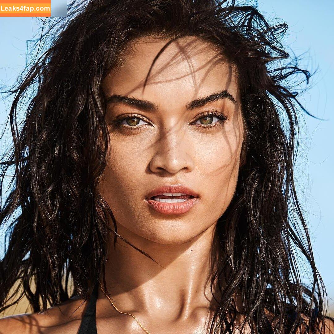 Shanina Shaik / shaninamshaik слитое фото фото #0665