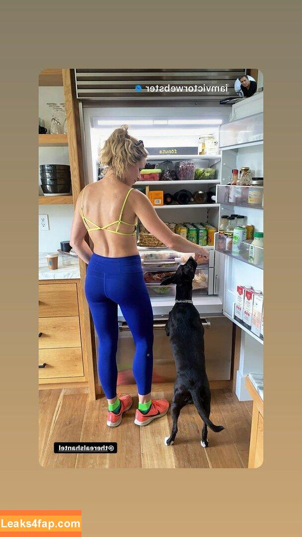 Shantel VanSanten / therealshantel leaked photo photo #0330