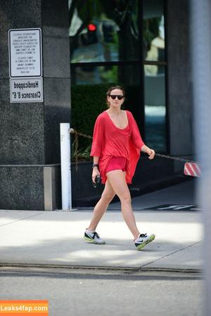 Shantel VanSanten photo #0109