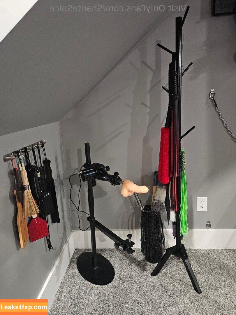 shantespice_free / shantellesse leaked photo photo #0012