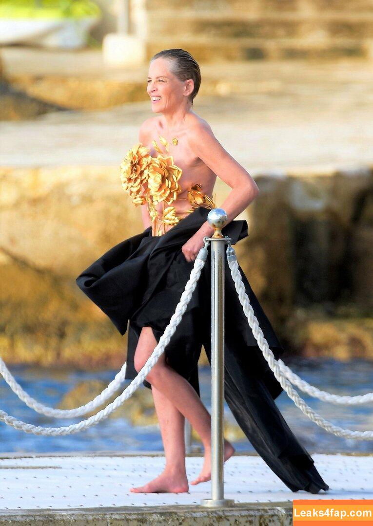 Sharon Stone / search / sharonstone leaked photo photo #0009