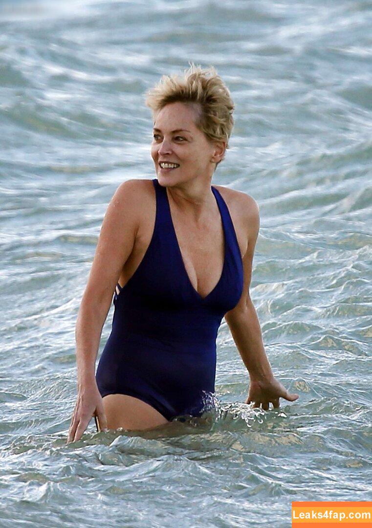 Sharon Stone / 160762733 / search / sharonstone слитое фото фото #0208