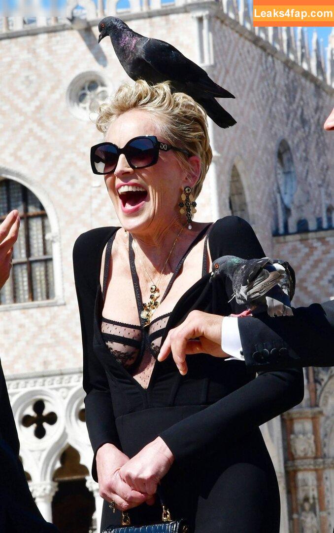 Sharon Stone / search / sharonstone leaked photo photo #0221