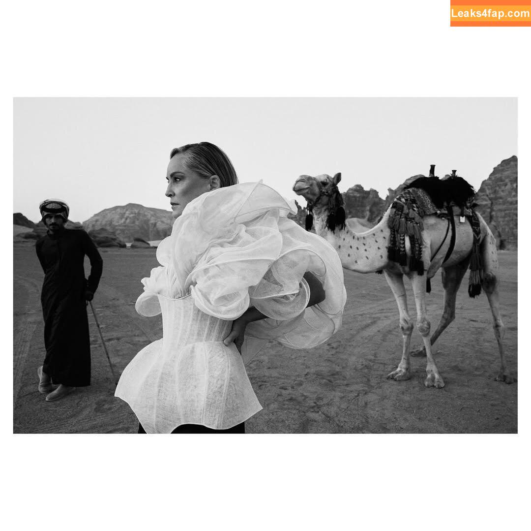 Sharon Stone / search / sharonstone leaked photo photo #0362
