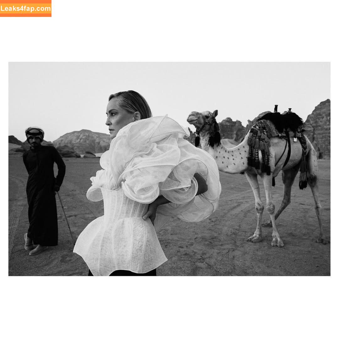 Sharon Stone / search / sharonstone leaked photo photo #0364