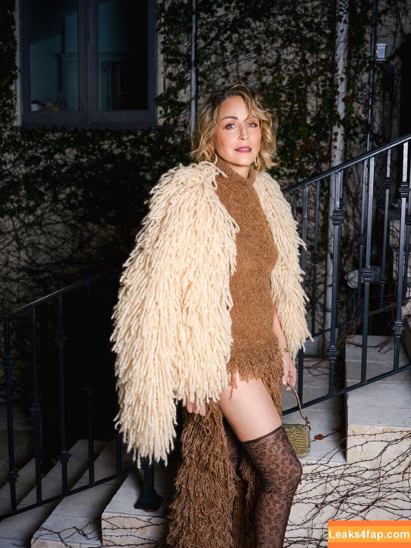 Sharon Stone / search / sharonstone leaked photo photo #0394