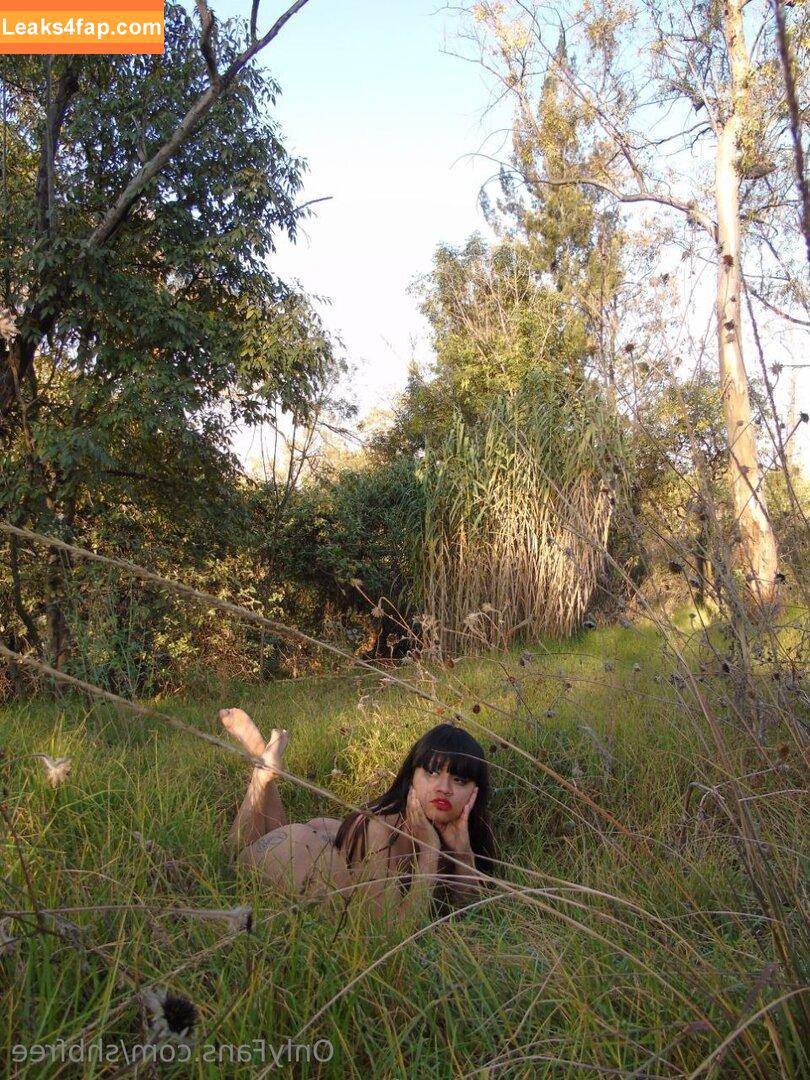 shbfree /  leaked photo photo #0013