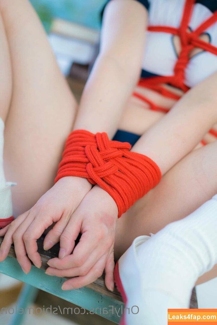 ShioMelon / SioMelonpan / moshimelon leaked photo photo #0221