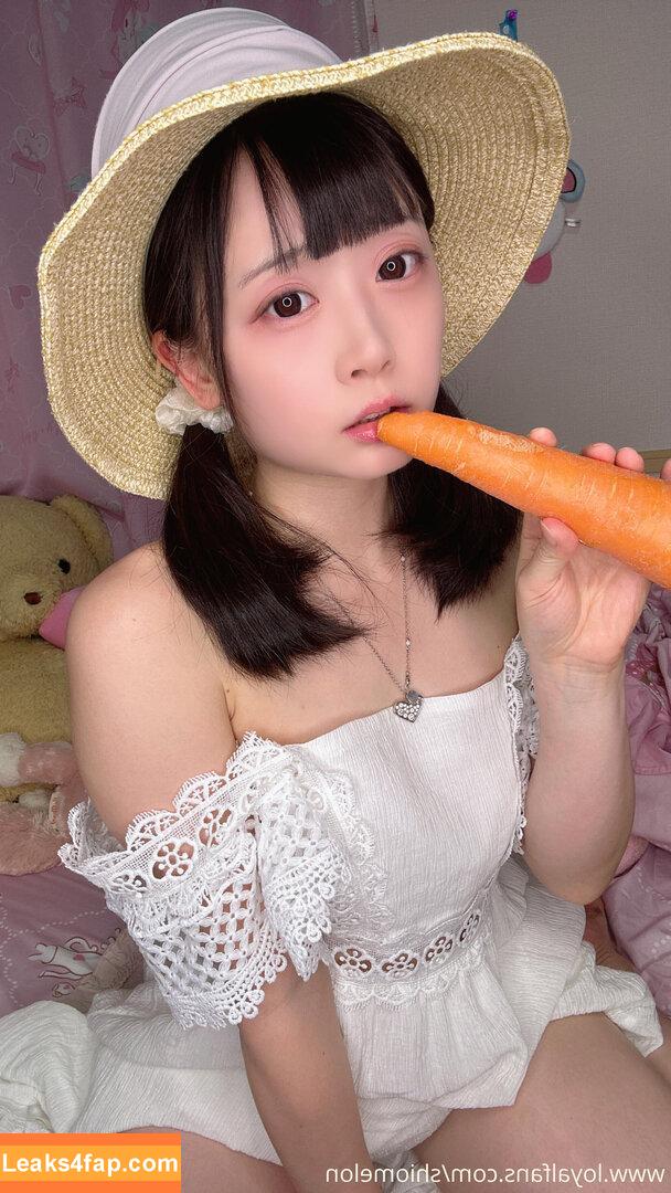 ShioMelon / SioMelonpan / moshimelon leaked photo photo #0771