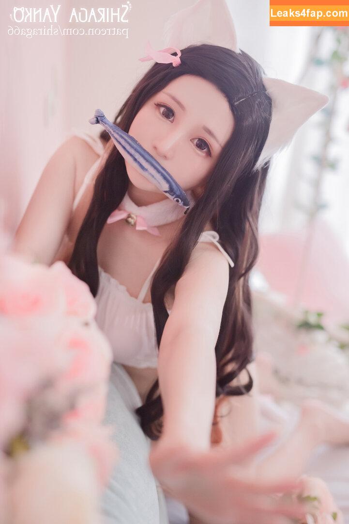 Shiraga Yanko / shiraga66 / shiraga_cosplay / shiragayanko слитое фото фото #0251