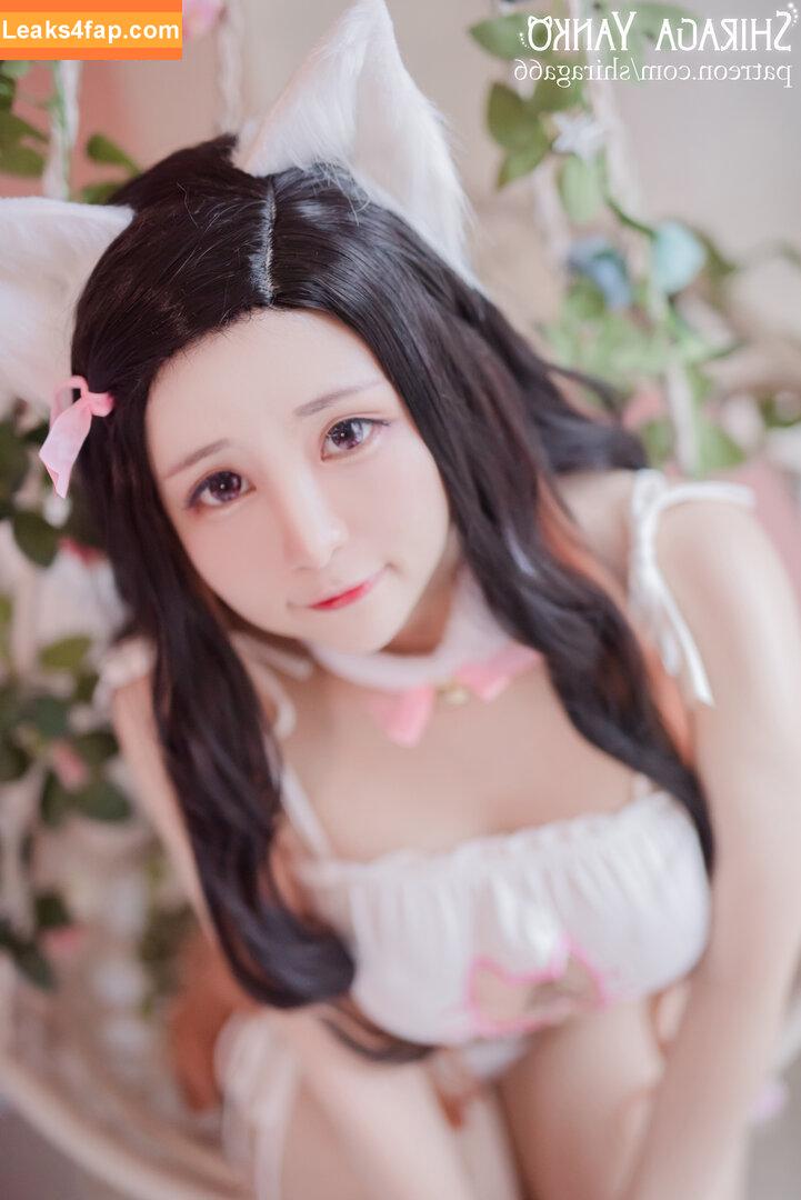 Shiraga Yanko / shiraga66 / shiraga_cosplay / shiragayanko слитое фото фото #0253