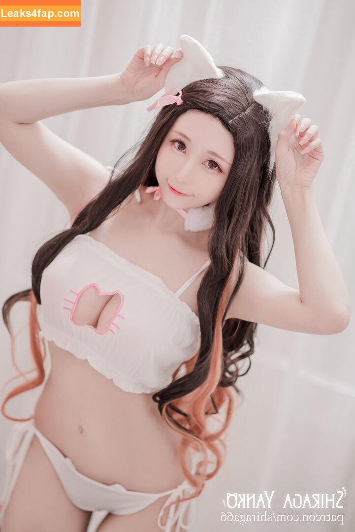 Shiraga Yanko / shiraga66 / shiraga_cosplay / shiragayanko leaked photo photo #0264