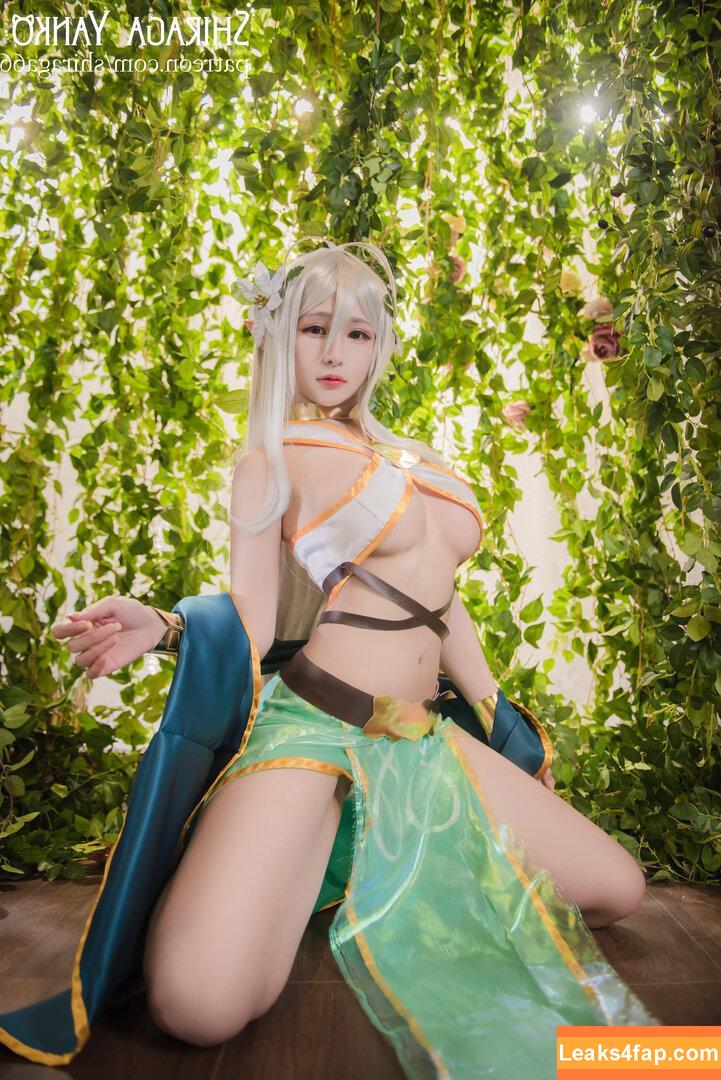 Shiraga Yanko / shiraga66 / shiraga_cosplay / shiragayanko66 слитое фото фото #0266